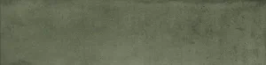 22 VIBE GREEN 75x30 1 300x74 - Vibe