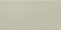 Liso Light Grey Brillo 10x20 1 200x100 - Liso / Flat 10x20