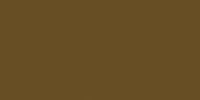 Liso Oro Brillo 10x20 1 200x100 - Liso / Flat 10x20