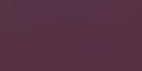 Liso Plum Brillo 10x20 1 200x100 - Liso / Flat 10x20