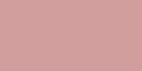 Liso Rosa f Brillo 10x20 1 200x100 - Liso / Flat 10x20