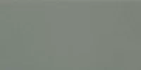 Liso Sage Brillo 10x20 1 200x100 - Liso / Flat 10x20
