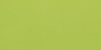 Liso Verde Brillo 10x20 1 200x100 - Liso / Flat 10x20