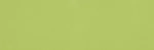Liso Verde Brillo 10x30 1