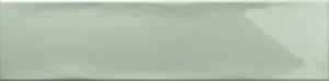 Ocean Green 75x30 1 300x74 - Ocean