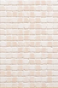 Termas Salmon 20x30 1 683x1024 1