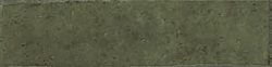 Apollo Green 17 250x62 - Apollo 13