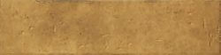 Apollo Mustard 12 250x62 - Apollo 13