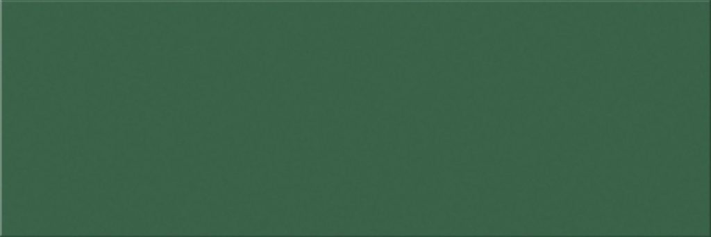 KELP BRILLO 10X30 1 1024x342 - Croma 1030