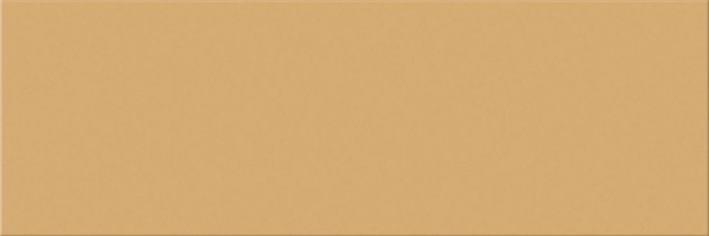 MOJAVE BRILLO 10X30 1 1024x342 - Croma 1030