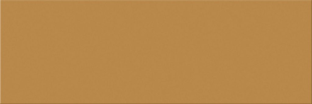 POLLEN BRILLO 10X30 1 1024x342 - Croma 1030