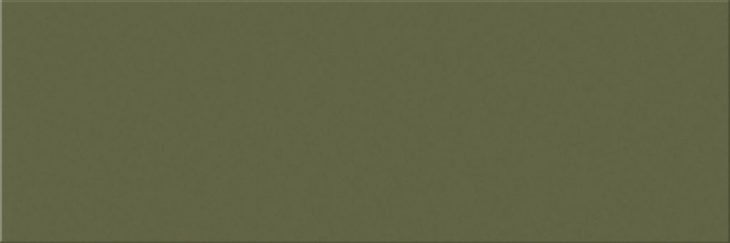 SPRUCE BRILLO 10X30 1 1024x342 - Croma 1030