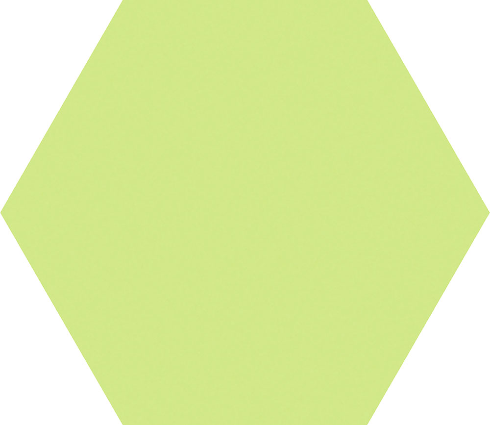 HEX CROMA HUNTER - Croma Hex 15173 HEX CROMA HUNTER - Croma Hex 15173