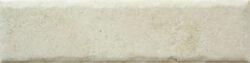 BONE 20MM CARA 1 250x63 - Fossil BONE 20MM CARA 1 250x63 - Fossil