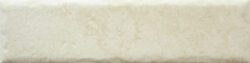 BONE 20MM CARA 10 250x63 - Fossil BONE 20MM CARA 10 250x63 - Fossil
