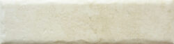 BONE 20MM CARA 12 250x63 - Fossil BONE 20MM CARA 12 250x63 - Fossil