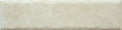BONE 20MM CARA 13 250x63 - Fossil BONE 20MM CARA 13 250x63 - Fossil