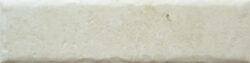 BONE 20MM CARA 14 250x63 - Fossil BONE 20MM CARA 14 250x63 - Fossil