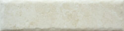 BONE 20MM CARA 15 250x63 - Fossil BONE 20MM CARA 15 250x63 - Fossil