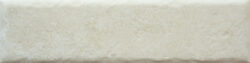 BONE 20MM CARA 16 250x63 - Fossil BONE 20MM CARA 16 250x63 - Fossil