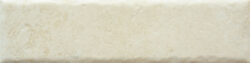 BONE 20MM CARA 2 250x63 - Fossil BONE 20MM CARA 2 250x63 - Fossil