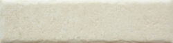 BONE 20MM CARA 3 250x63 - Fossil BONE 20MM CARA 3 250x63 - Fossil