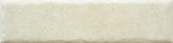 BONE 20MM CARA 4 250x63 - Fossil BONE 20MM CARA 4 250x63 - Fossil