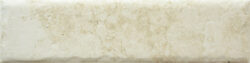 BONE 20MM CARA 5 250x63 - Fossil BONE 20MM CARA 5 250x63 - Fossil