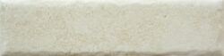 BONE 20MM CARA 6 250x63 - Fossil BONE 20MM CARA 6 250x63 - Fossil