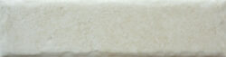 BONE 20MM CARA 7 250x63 - Fossil BONE 20MM CARA 7 250x63 - Fossil