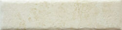 BONE 20MM CARA 8 250x63 - Fossil BONE 20MM CARA 8 250x63 - Fossil