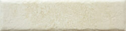 BONE 20MM CARA 9 250x63 - Fossil BONE 20MM CARA 9 250x63 - Fossil