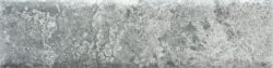 GREIGE20 CARA 8 250x63 - Fossil GREIGE20 CARA 8 250x63 - Fossil