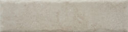 NATURE20 CARA 10 250x63 - Fossil NATURE20 CARA 10 250x63 - Fossil