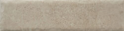 NATURE20 CARA 11 250x63 - Fossil NATURE20 CARA 11 250x63 - Fossil
