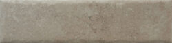 NATURE20 CARA 12 250x63 - Fossil NATURE20 CARA 12 250x63 - Fossil