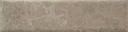 NATURE20 CARA 13 250x63 - Fossil NATURE20 CARA 13 250x63 - Fossil