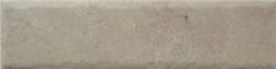 NATURE20 CARA 14 250x63 - Fossil NATURE20 CARA 14 250x63 - Fossil