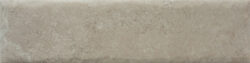 NATURE20 CARA 16 250x63 - Fossil NATURE20 CARA 16 250x63 - Fossil