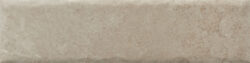 NATURE20 CARA 2 250x63 - Fossil NATURE20 CARA 2 250x63 - Fossil