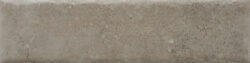 NATURE20 CARA 4 250x63 - Fossil NATURE20 CARA 4 250x63 - Fossil