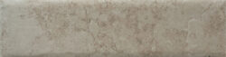 NATURE20 CARA 5 250x63 - Fossil NATURE20 CARA 5 250x63 - Fossil