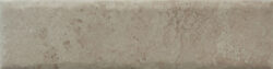 NATURE20 CARA 8 250x63 - Fossil NATURE20 CARA 8 250x63 - Fossil