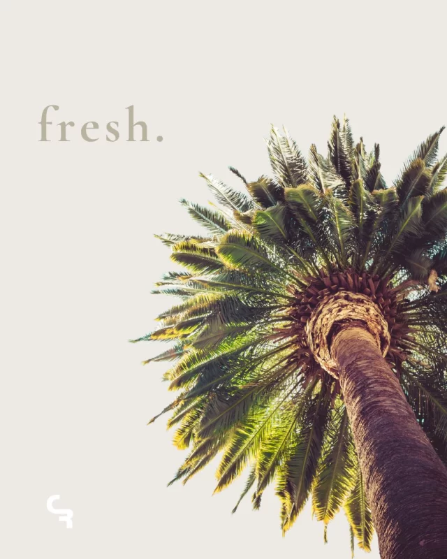 Palm trees, water, light... and ceramics that make it even more special.✨ 𝐃𝐢𝐯𝐞 series: ceramic design designed to enjoy the summer without sacrificing aesthetics.┄┄┄┄┄┄┄┄┄Palmeras, agua, luz… y cerámica que lo hace aún más especial.✨ Serie 𝐃𝐢𝐯𝐞: diseño cerámico pensado para disfrutar del verano sin renunciar a la estética.𝐈𝐍𝐅𝐎 comercial@ceramicaribesalbes.com | +34 964 60 32 52ᴄᴀᴛᴀʟᴏɢᴜᴇs | ᴄᴀᴛᴀ́ʟᴏɢᴏs 𝐰𝐰𝐰.𝐜𝐞𝐫𝐚𝐦𝐢𝐜𝐚𝐫𝐢𝐛𝐞𝐬𝐚𝐥𝐛𝐞𝐬.𝐜𝐨𝐦 𝘈𝘭𝘸𝘢𝘺𝘴 𝘏𝘪𝘨𝘩 𝘘𝘶𝘢𝘭𝘪𝘵𝘺#Tile #CerámicaRibesalbes #MadeInSpain #Cerámica #Azulejos #España #New #Nuevo #Colección #PorcelainTiles #Inspiración #CementoMete #AlwaysHighQuality